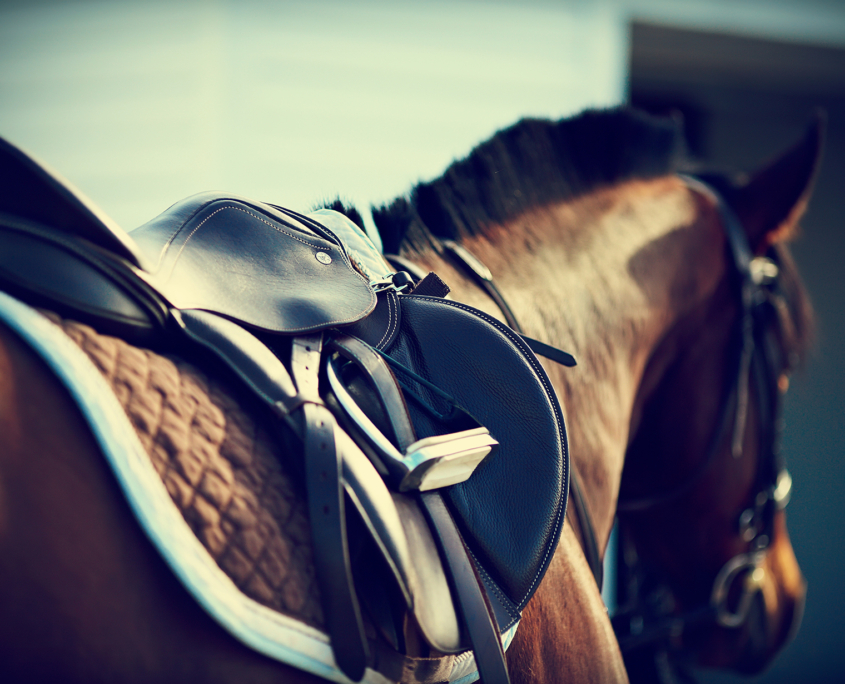 Saddle with stirrups